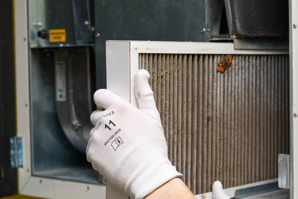 HVAC System Cleaning in North Alamo, TX