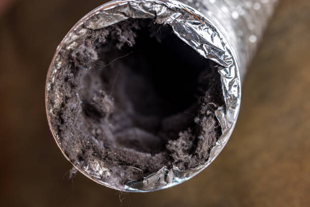 Best Ductwork Cleaning Services  in North Alamo, TX