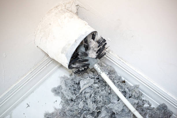 Best Ventilation Cleaning Services  in North Alamo, TX